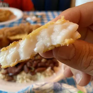 THE FISH!