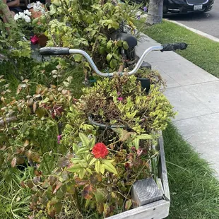 Outside the store