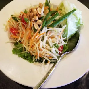 Y7 Papaya Salad