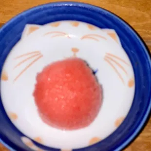 Palate Cleanser