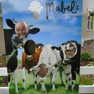 Checkout the goofy cow sign in the back yard!