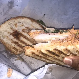 DJs Jerk Turkey Panini