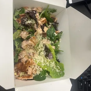 Salmon Salad