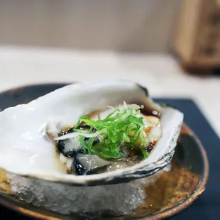 Kusshi Oyster
