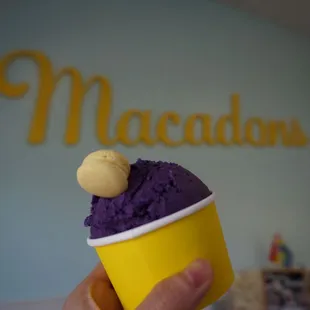 Ube ice cream with mini lemon macaron