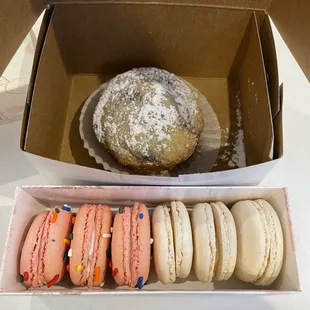 Blueberry muffin, strawberry shortcake macaron, vanilla macaron
