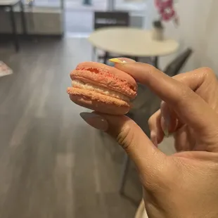 1 single macaron