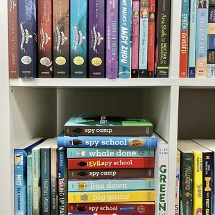 Spy School books