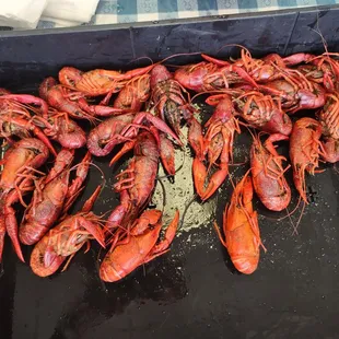 A pound of. Crawfish