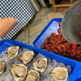 Oysters and crawfish were great!