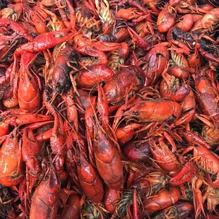 Boiled crawfish