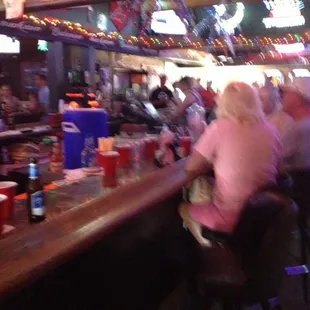 people sitting at the bar