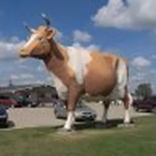 a cow in a parking lot