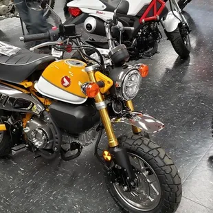 Our new yellow Honda monkey. We had a Honda z50 same color. Love it