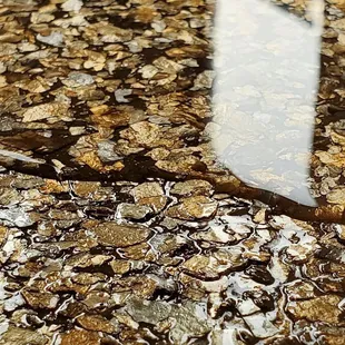Epoxy Coatings in Luxury Garage