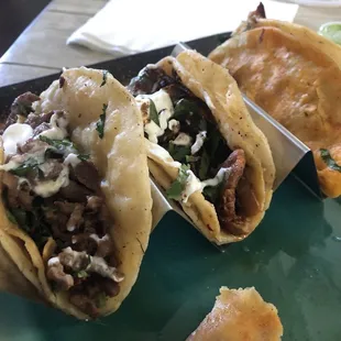 Pastor taco / steak taco / birria taco