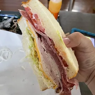 a person holding a sandwich
