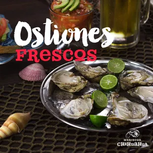 food, mussels, oysters, oysters and mussels, shellfish