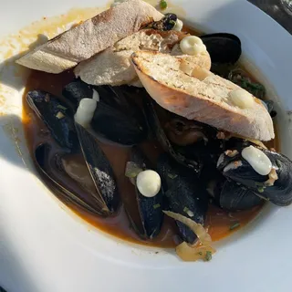 Machine Mussels