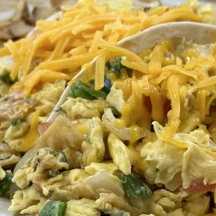 Taco Plate