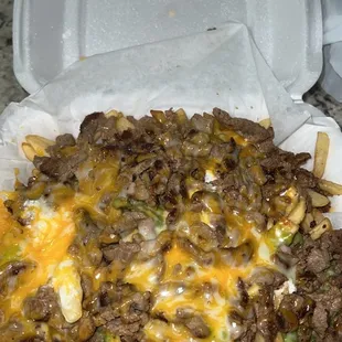 Carne Asada Fries. 7/10. (need more sour cream/guacamole, too try)