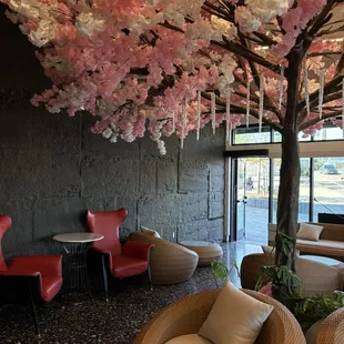 interior, sushi and sashimi