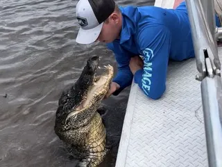 Airboat Adventures