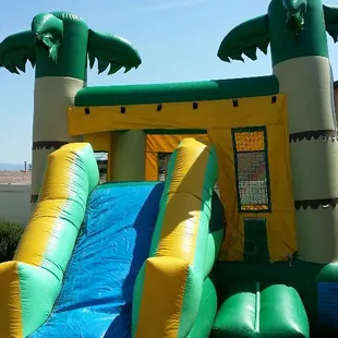 Minicombo palms 14x20