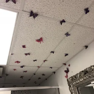 Bathroom ceiling