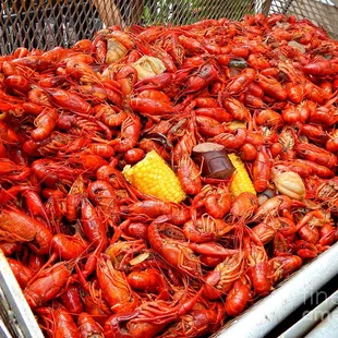 Tongue-Tingling, Cajun Crawfish Boil