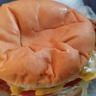 Chicken Sandwich