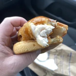 Minnesota Walleye "Sammy"