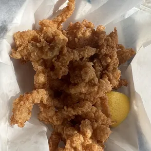 Clam strips