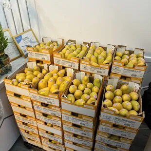 Fresh Mangoes