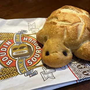 Turtle sourdough