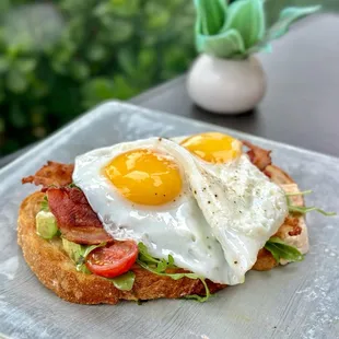 Avo Toast ($13)- w/2 eggs(6), &amp; 2 duck bacon(halal-2 slices $7) = delicious, but not worth $26