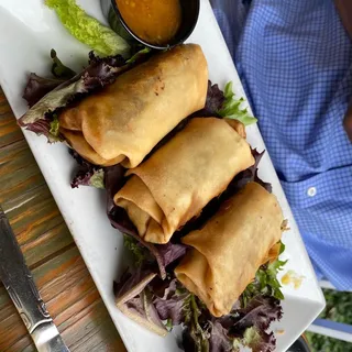 Curry Chicken Spring Rolls