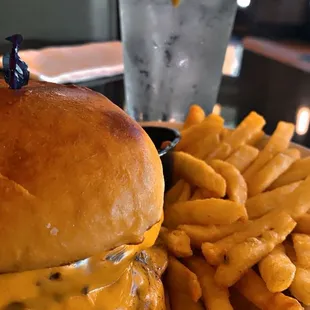 Got a double cheese burger, fries and a water with lemon