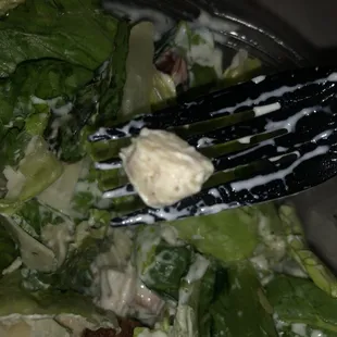 The largest piece of chicken :')