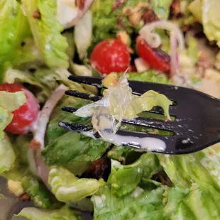 It's a piece of a plastic bag