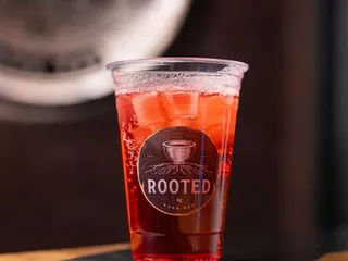 Rooted Kava Bar