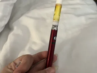 Sticky Saguaro