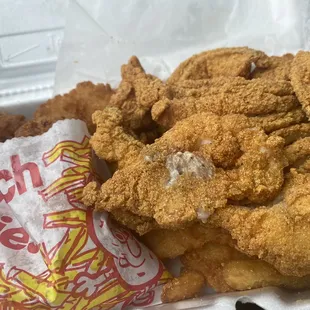 Fish and Large Fish &amp; Shrimp