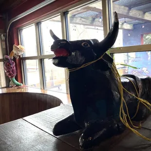 a black cow with a rope around its neck