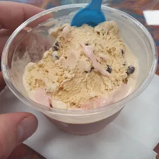 Chocolate chip pumpkin