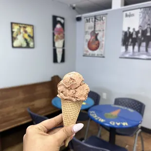 Brownie fudge ice cream