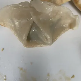 Mr Wangs fried dumplings, perfect hand made fold