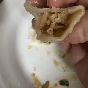 Pork and cabbage fried dumplings