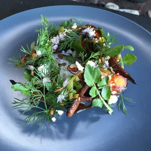 The Nightrider- Charred carrots, goat feta, pickled jalapeno, maple chipotle glaze, dill sunflower seeds