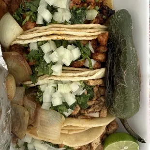 Incredible street tacos here!